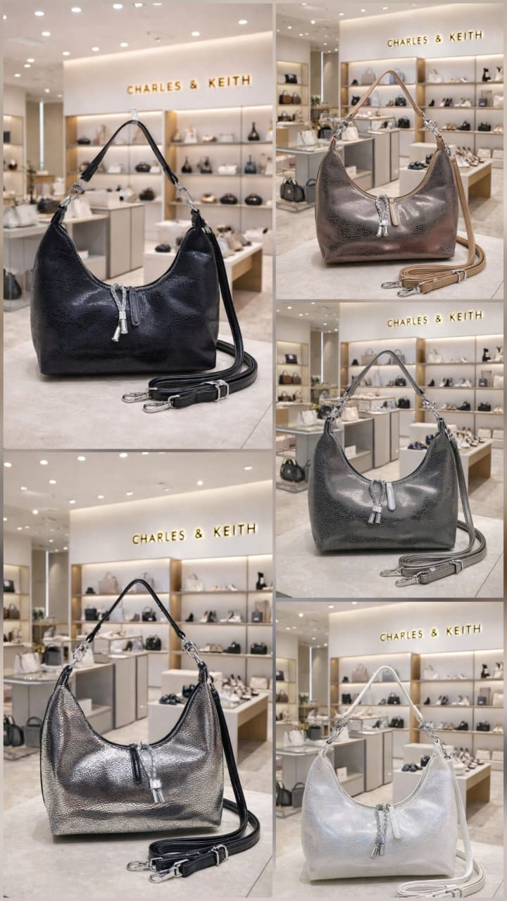 Charles & Keith Hand Bag